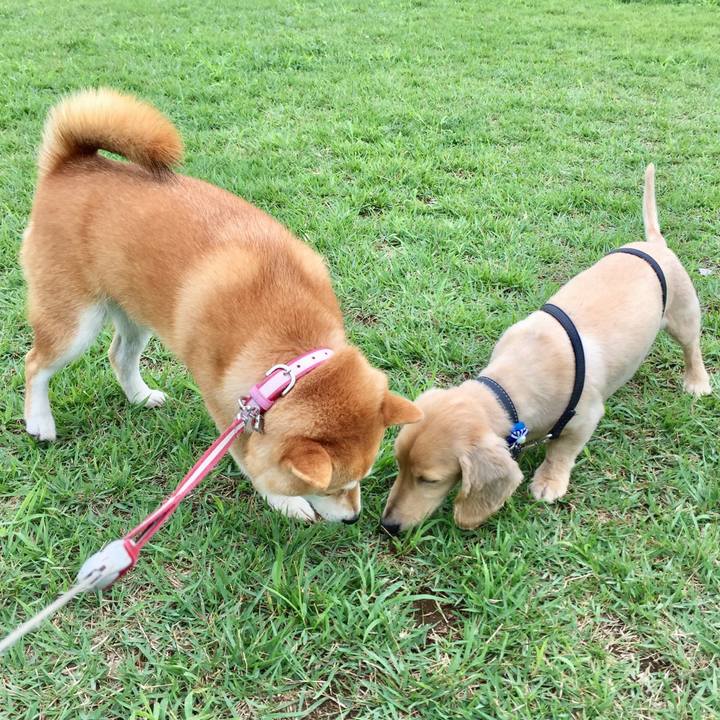 D568c8ce 83f1 41fd b37e 202b93fd0f8b