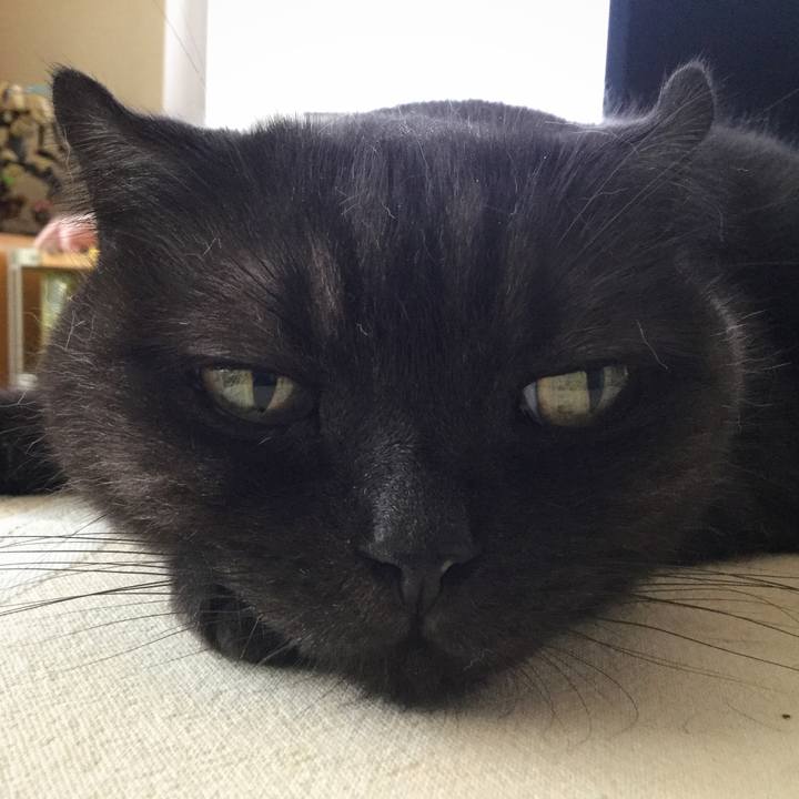 D568f32d a0b8 45e4 afbb 550a793fd2bb