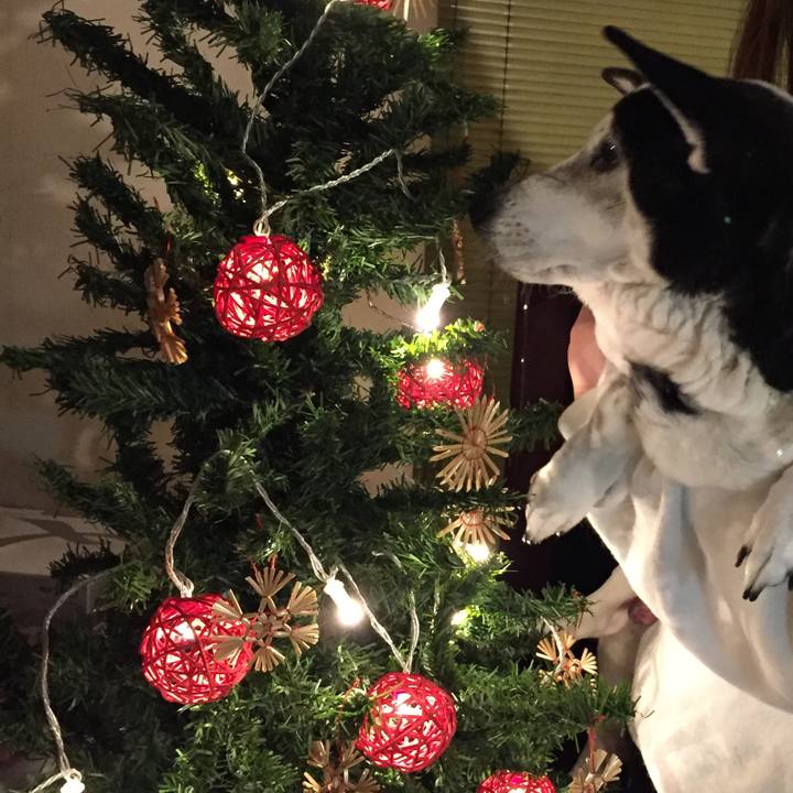 D569681b 31a5 4e37 80c8 a243fc2427a5