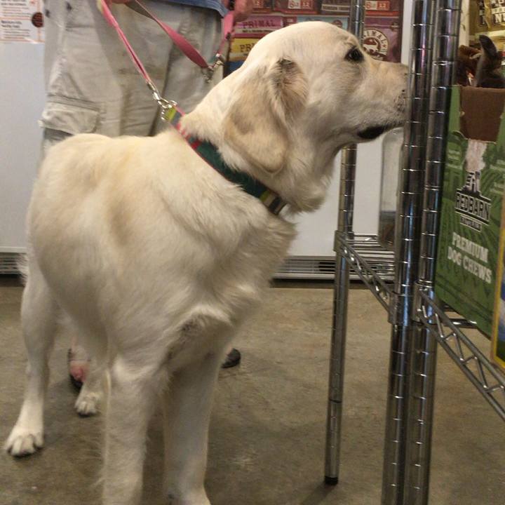 D56a05a1 d3a8 4fb3 9e1d dd0394cb68e9