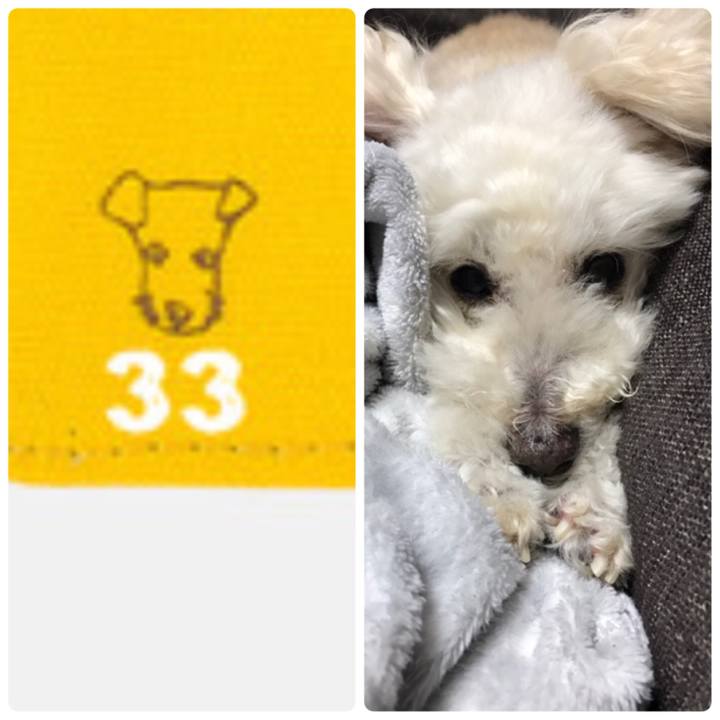 D56a44ad 2a08 4c11 96d3 c0c1c902e8c1