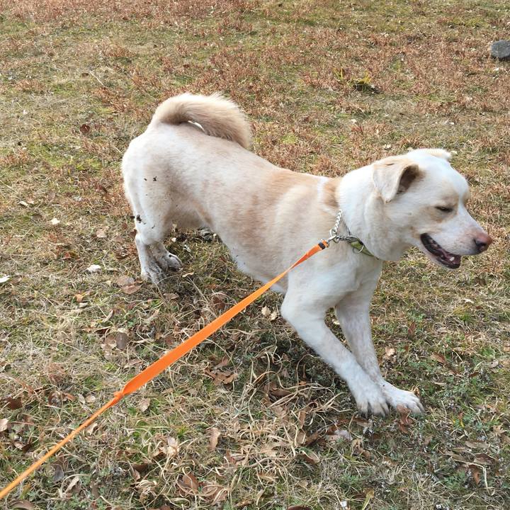 D56a48eb b57e 48e7 85f8 f31c10102040