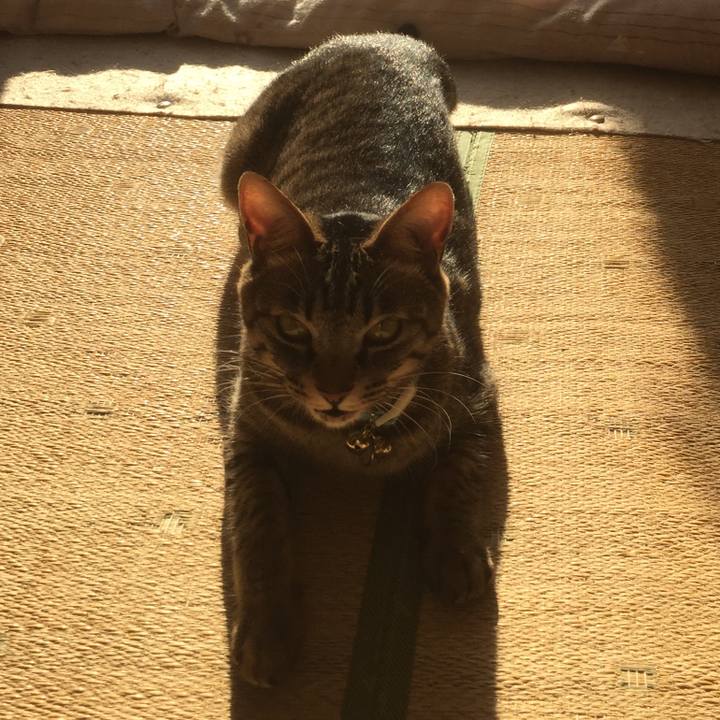 D56aadd1 06d5 4e3f ab6e bf8d3cd3feee