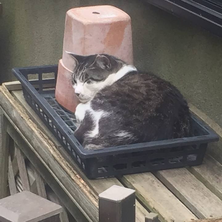 D56c1e48 d682 4641 b332 a0307e24b8ae