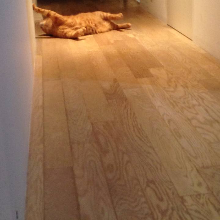 D56c3b61 fce5 4046 b0d1 dd6f3fc2727b