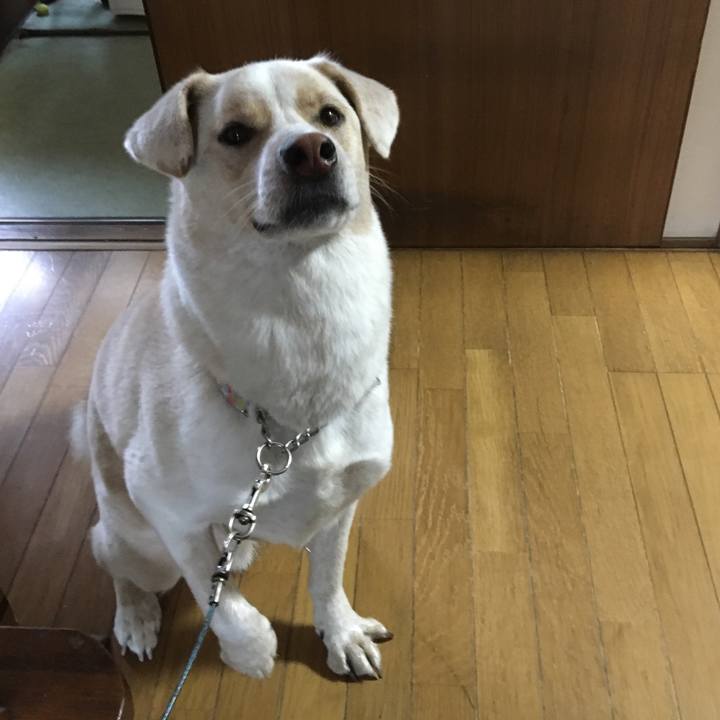 D56cc914 fd36 4c27 8fb9 725927f93a5d