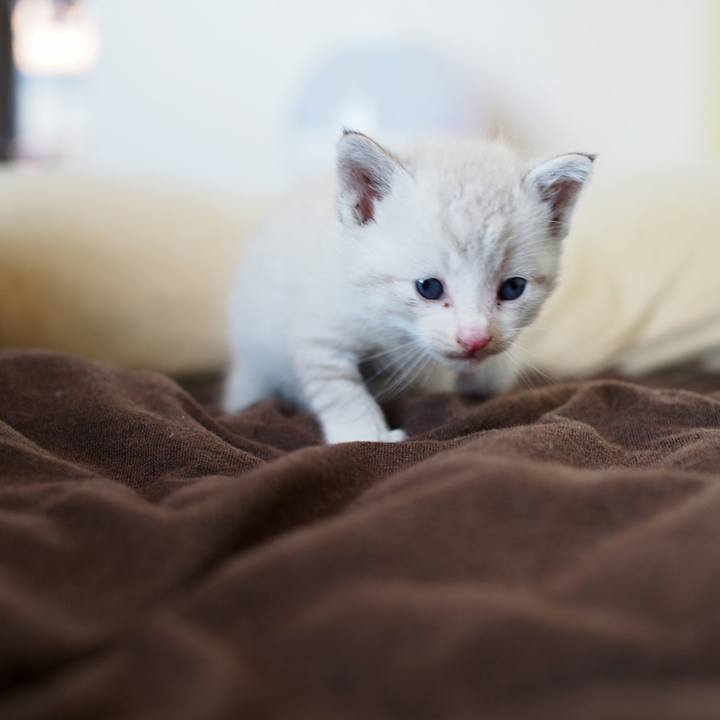 D56d4465 8cc3 4892 9341 b0bb268b9488