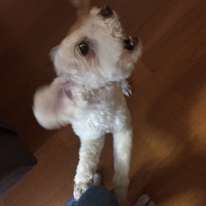 D56d6e17 3494 4a85 bad2 77fab2dc3745