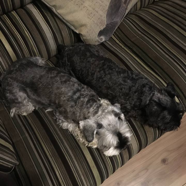 D56d88f8 664b 4830 9c09 16b47d29d392