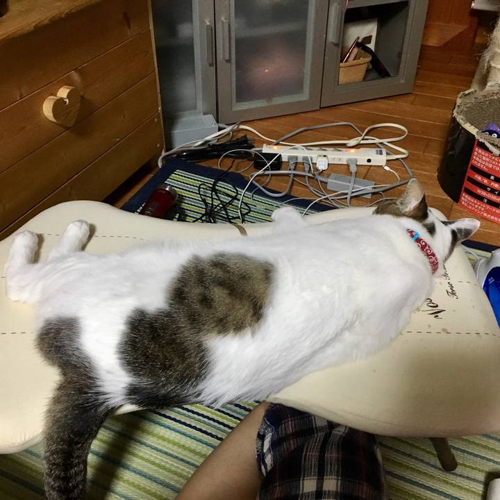 D56d9a1a 259d 4da6 ae17 2015c6028c92