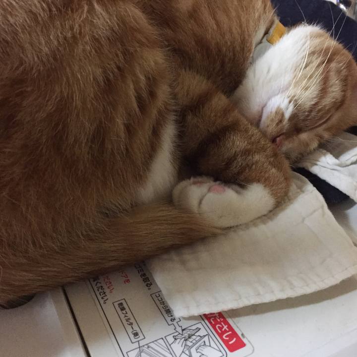 D56daca4 7386 4c5b b52e feca1f74eb84