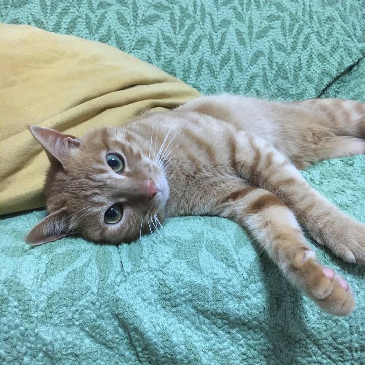 D56e085f b308 450f 9395 df0606edc245