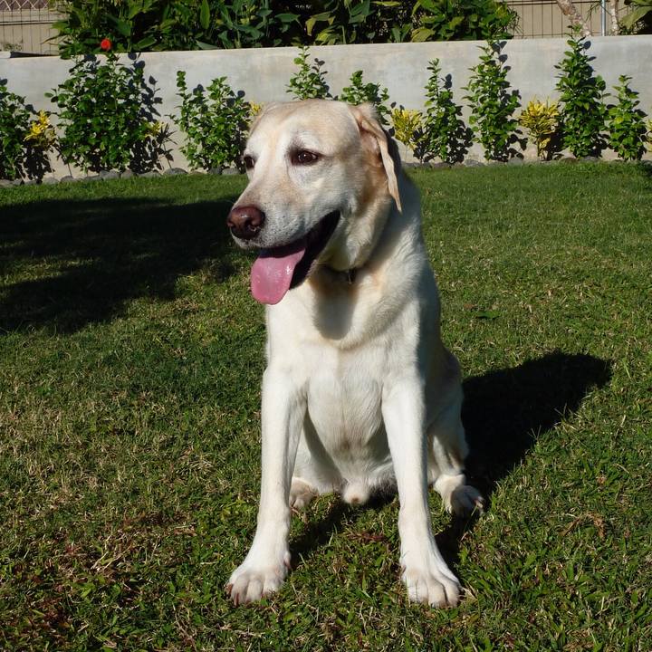 D56f2977 a249 4a97 bdd6 5e957852bf86