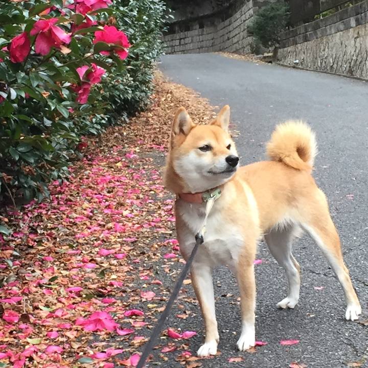 D570d62a 5753 4207 a21b aa8834f2d16b