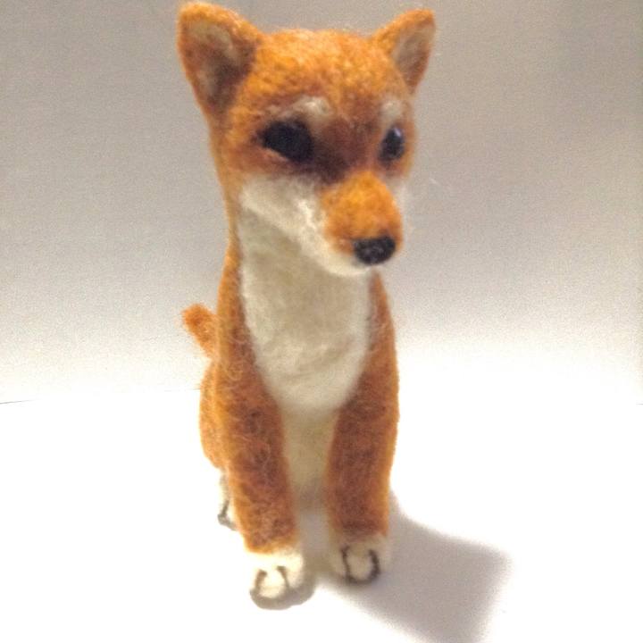 D570e2cb ff2a 463d 92bd bc2fb8711bcc