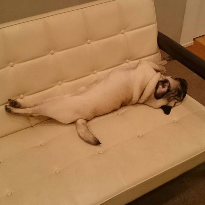 D5717de2 bc55 4f7c 83de 429b79c43cb4