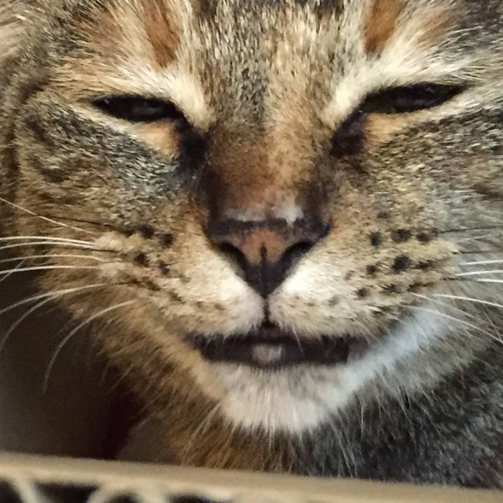 D5718802 e9b1 4019 b973 38ba81809d99