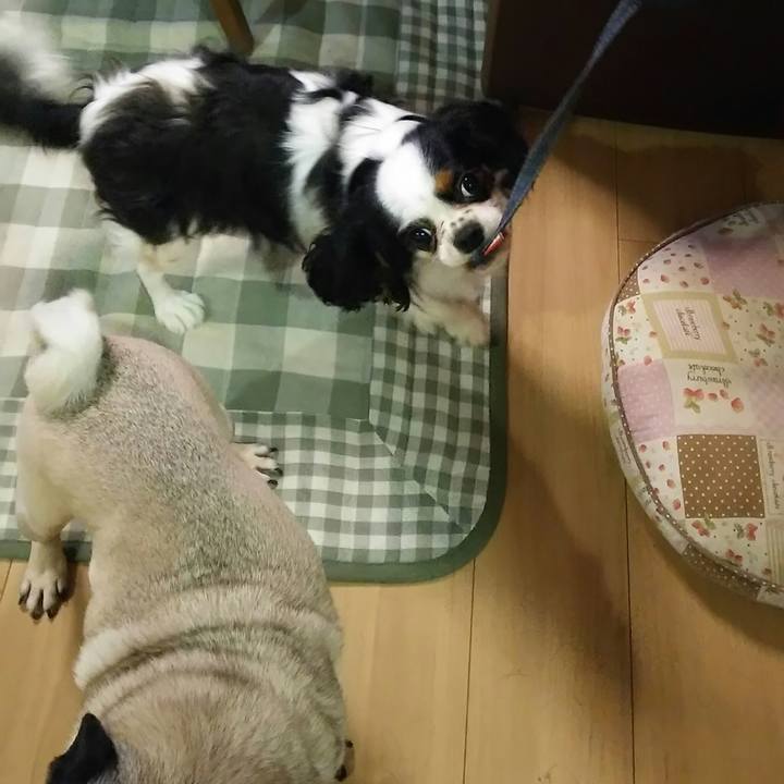 D572a38c 706c 43b4 b239 ff8fc5ed26a2