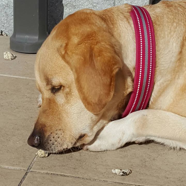 D572c9cc 87d5 407a 8aab b1956d74f78b