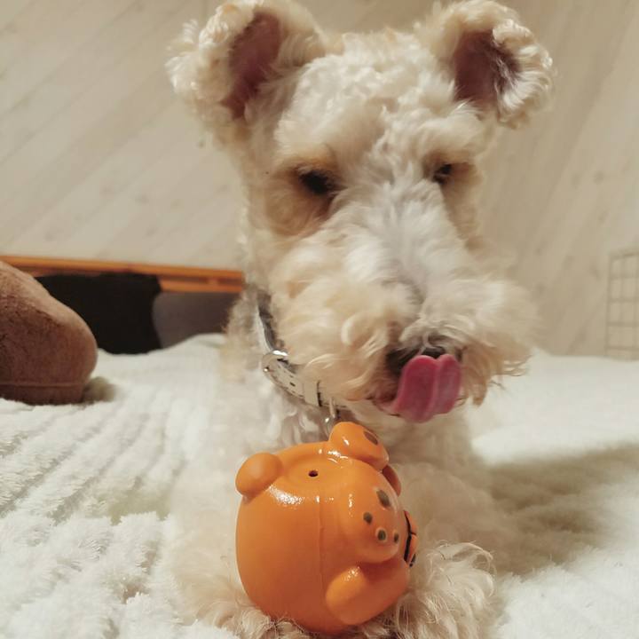 D5733ac5 58be 4e94 801d ae6bb657637f