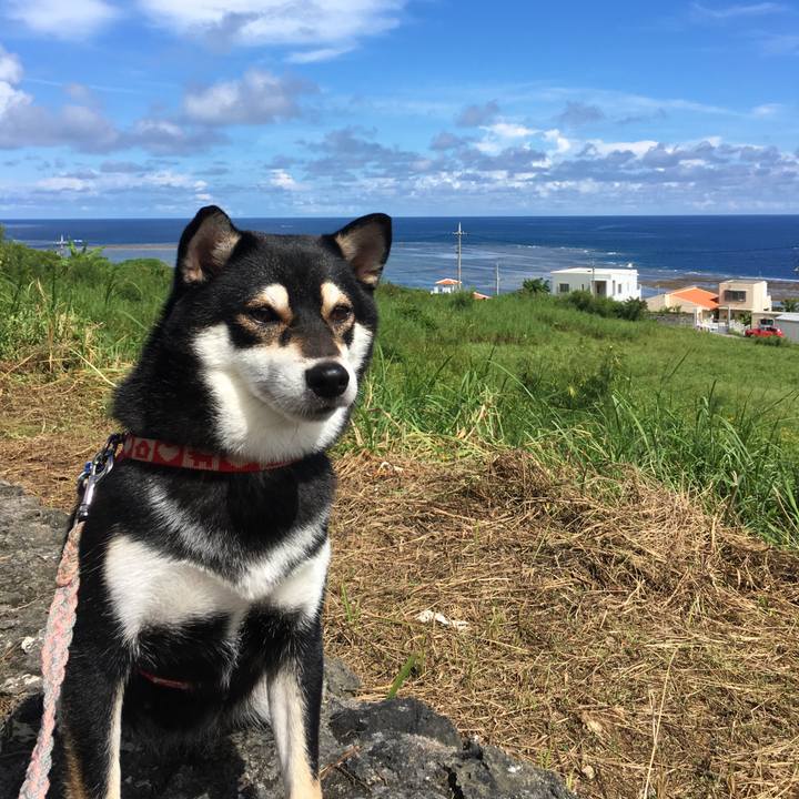 D573a7c3 a770 484f 8f78 1f0a4d256ec0