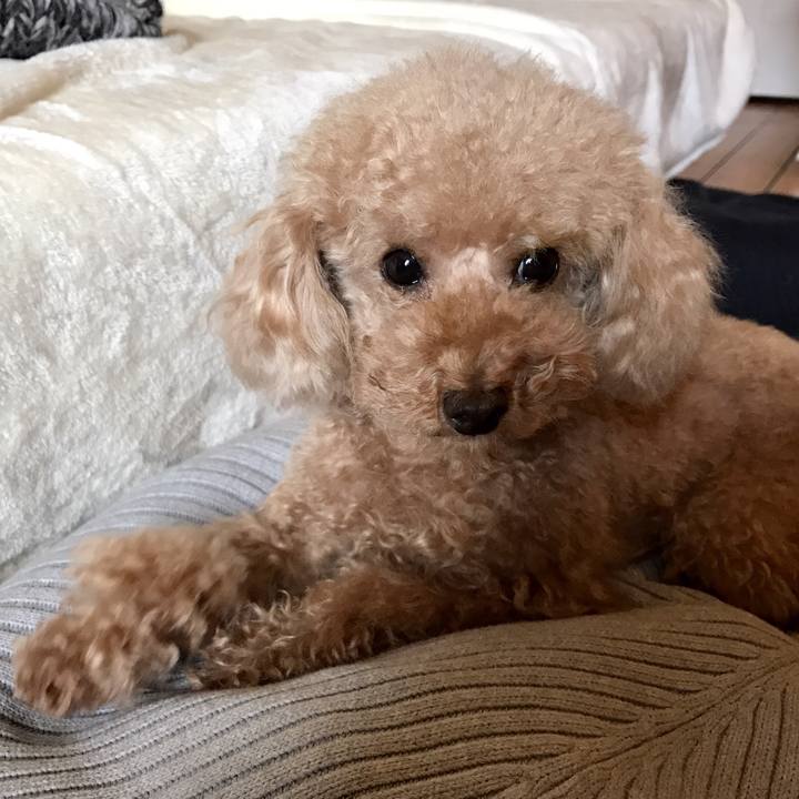 D573c4f2 85d8 4346 b387 09a2cdec0366