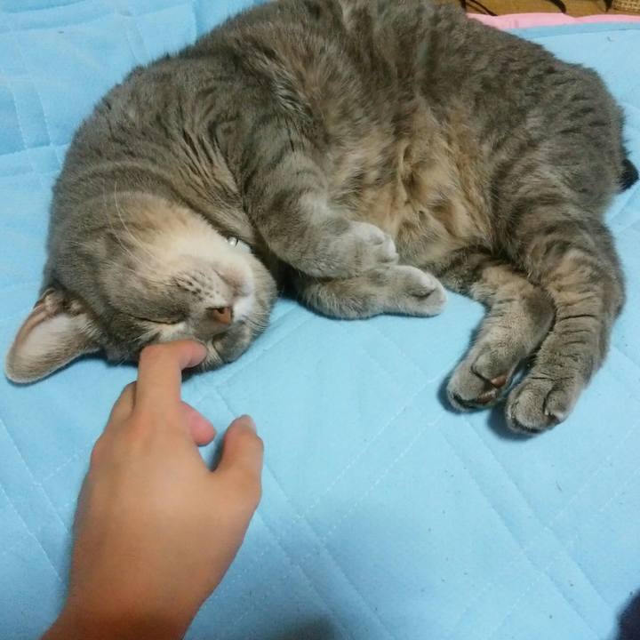 D57416af 782d 4220 b4c6 c277703519ac