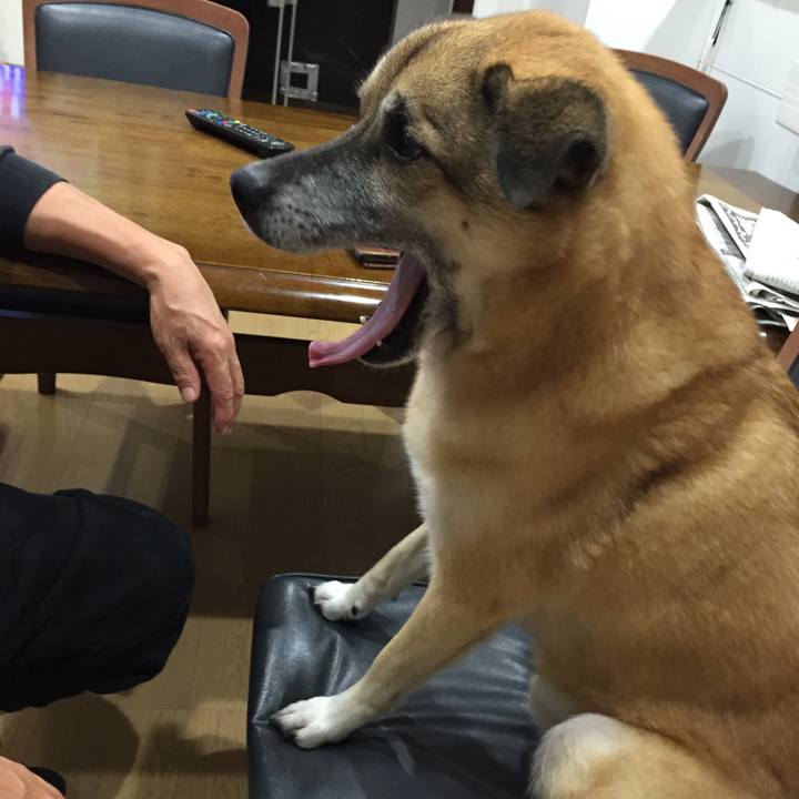 D5751c49 50ac 44f3 920b 993d67ef4cd5