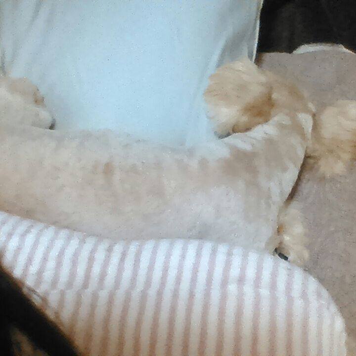 D575bec9 47be 43a4 a681 e52bdfeeedfa