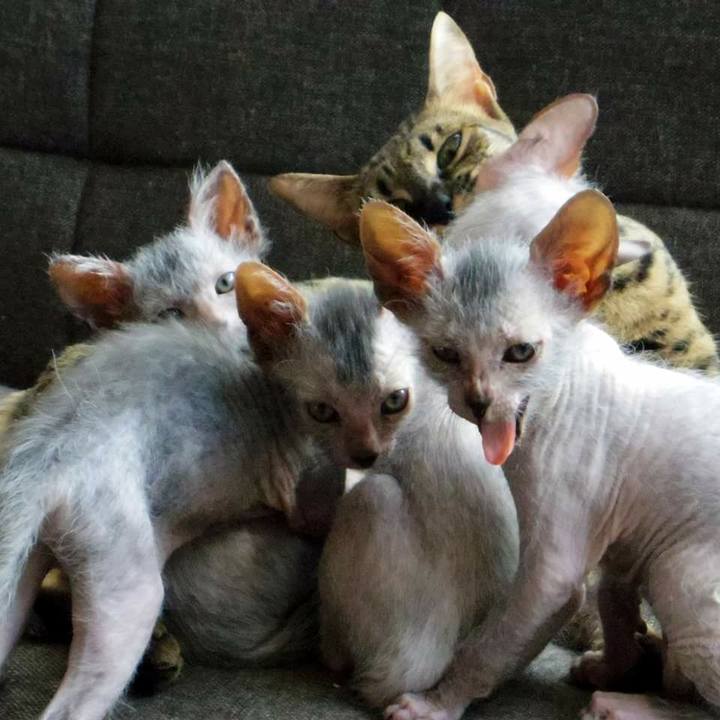 D5766ca0 82a2 4973 b6ac 1a8acf9f5d5c