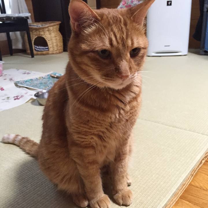 D576f230 3ff2 4756 b473 48a8350d1632