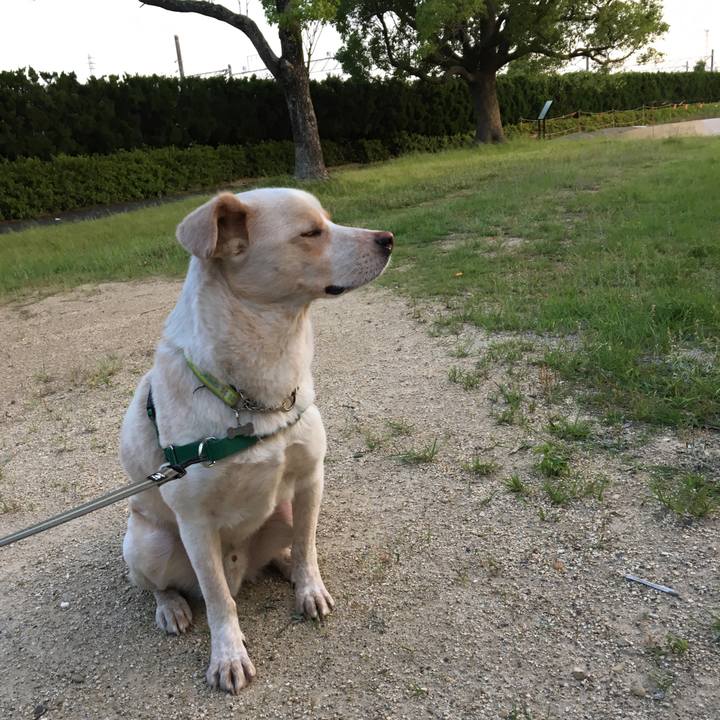 D57754fe 97cf 44f9 95a2 dd2be8a36ffb