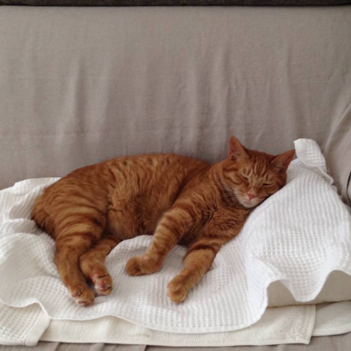 D57756ad d0fc 498b af47 2a5624d86b01