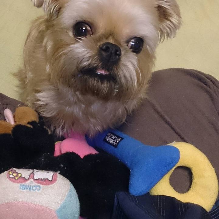 D577a800 360c 4238 a1fc 9b5d1f66bb27