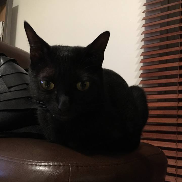 D577c839 0cae 451f 9fcb 8c8ce31398ff