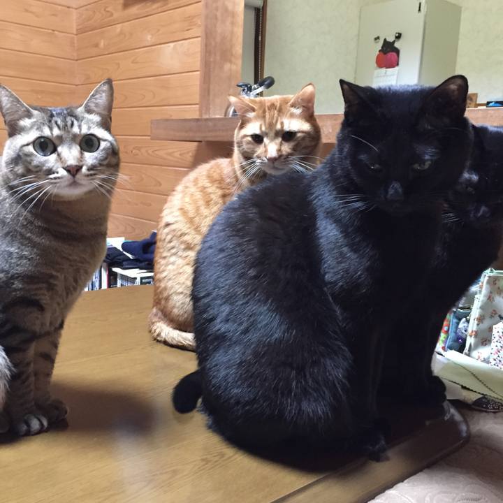 D577eebf 0dcd 49f2 b91e aa47b9e942ce