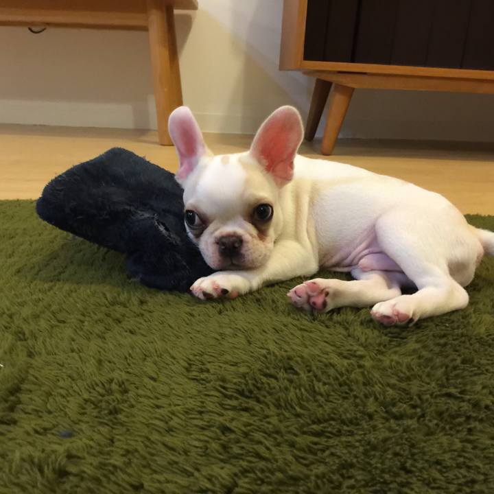 D5780ba4 b32c 4dc7 9596 a3aaaec68b9b