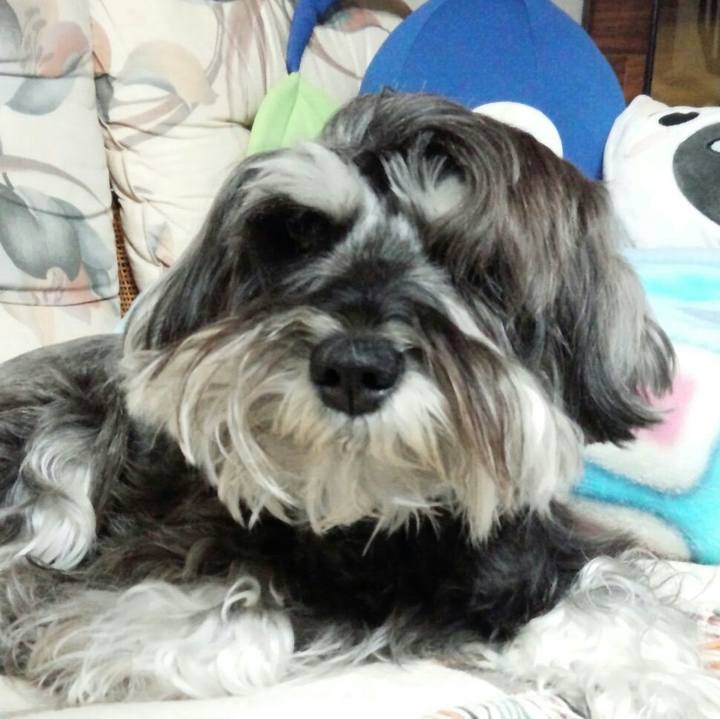 D5781aba 1bdb 4b5b 80c2 5db31f39b300