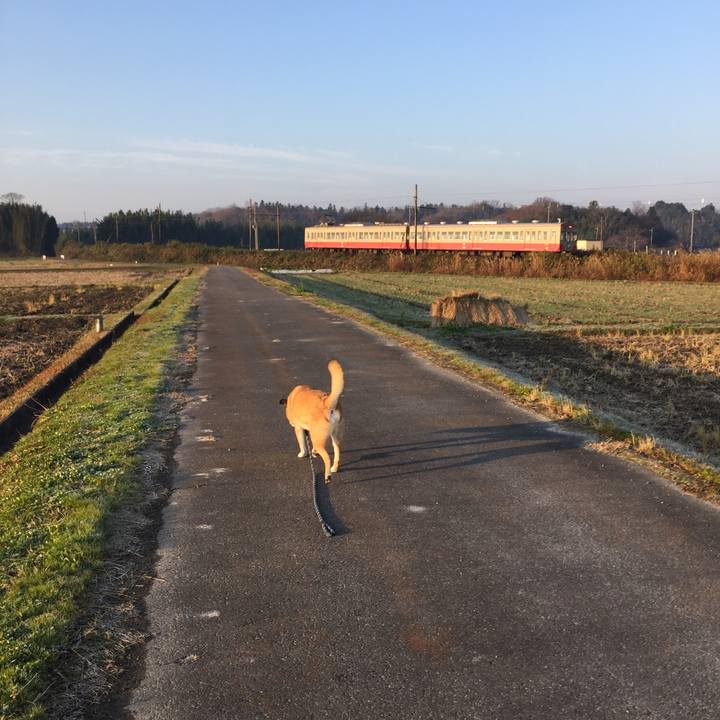 D57846de 6700 4bb4 a701 e2f315ca87d1