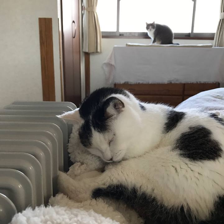 D5789398 a51f 48b8 b9d9 c7ea3c3efd6a