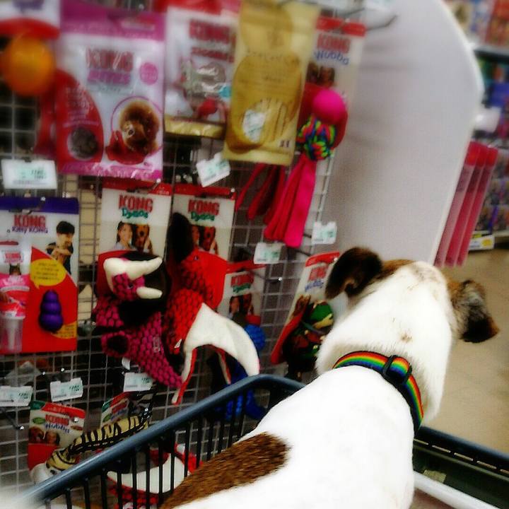 D5793a7e 68cc 49f1 8335 619b33076f18