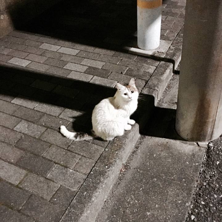 D579bad5 d927 4f24 a099 d2c874a425cb