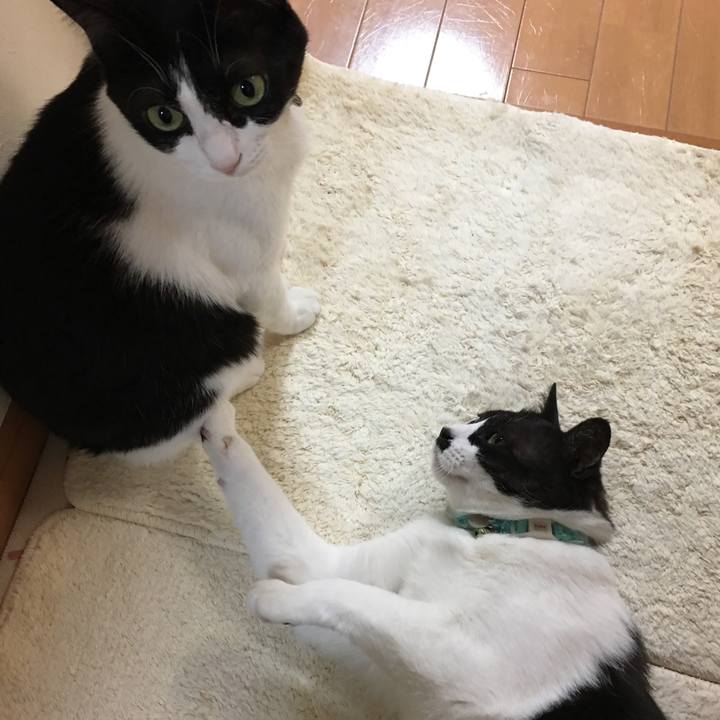 D579cd09 deb7 4097 8f9b 99fefa85191f