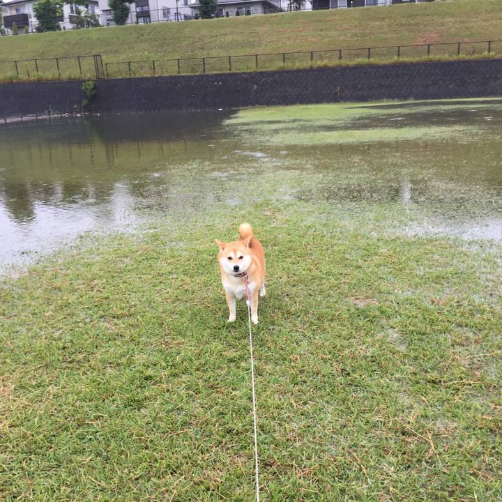 D579d032 598d 49a9 8bfd eac52c2ce8b6