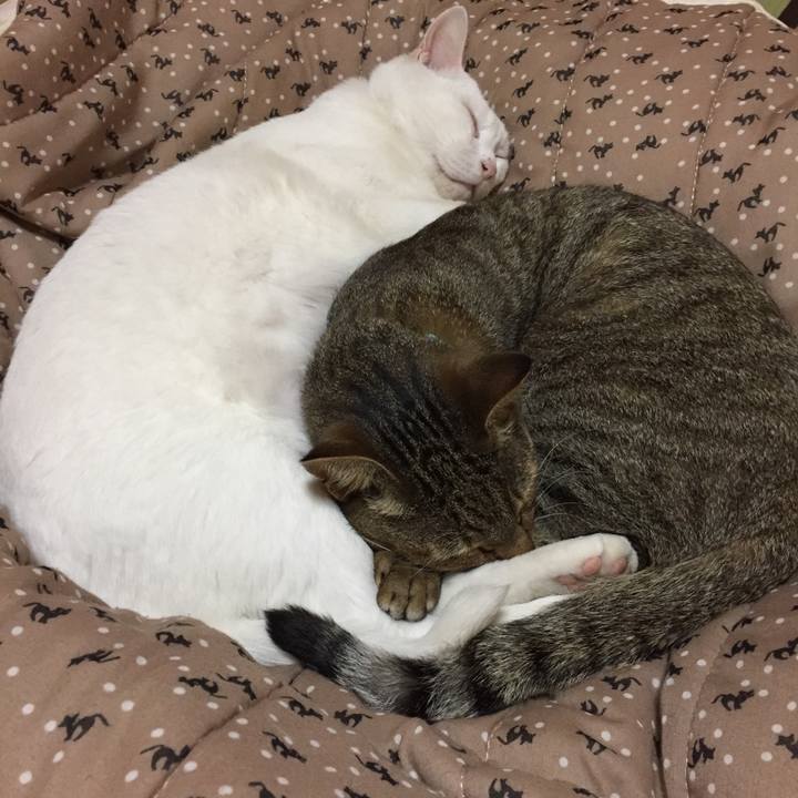 D57a021d 4de1 4c70 add9 d6822cc71a58