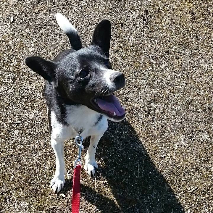 D57aa92b f01e 4dd6 a4a3 82241dc18ea0