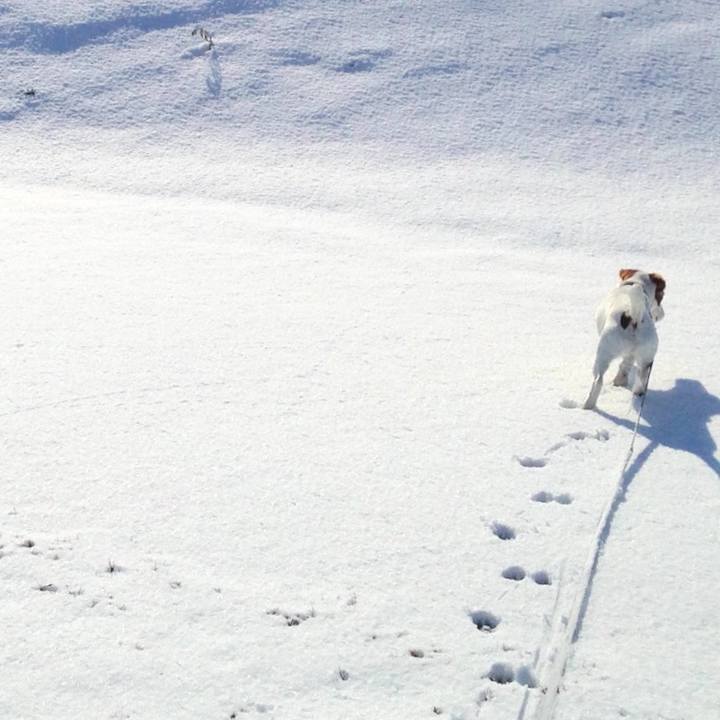 D57b349a 8646 443f ba84 e5b2f81a894e