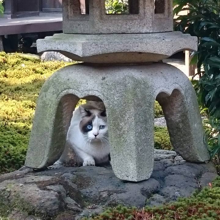 D57b4ea3 f96d 494d bc8a d6765a89fc00