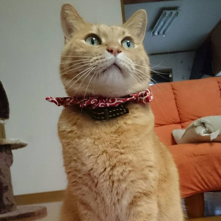 D57b50ed 6b54 43f0 a0a5 27cea7fc7522