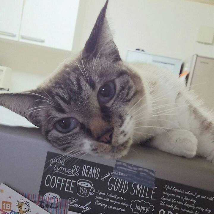 D57bc08e f163 4b74 81b5 675ab668b115